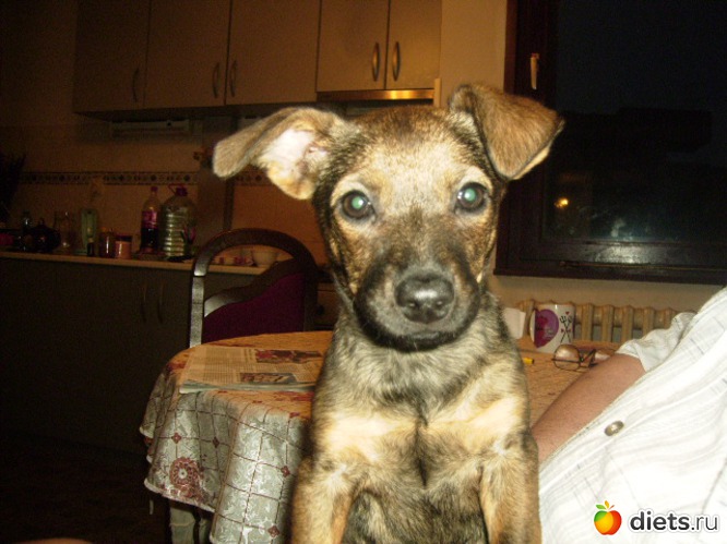 А это уже прошло 3 недели. м мы растем, альбом: Моя Мася или Тыбыдымский Конь