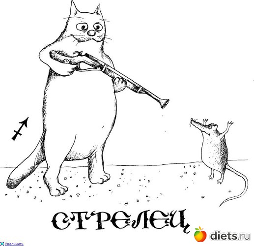 3 ����: ���������