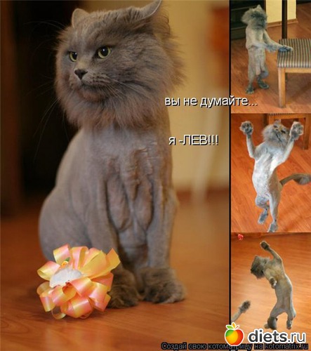 7 ����: ���������