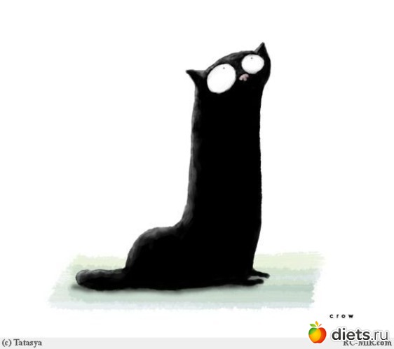 19 фото: животинки