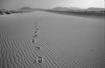 Следы на песке