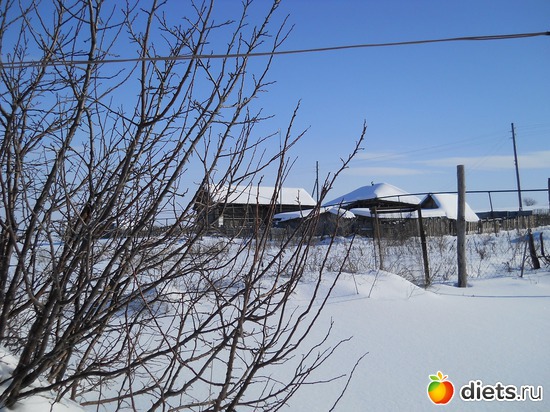 6 ����: �������!!!