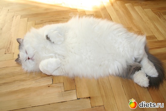 Баюшка спит, альбом: Мои ласковые и нежные