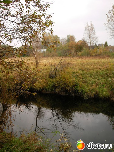 2 фото: оя любимая дача