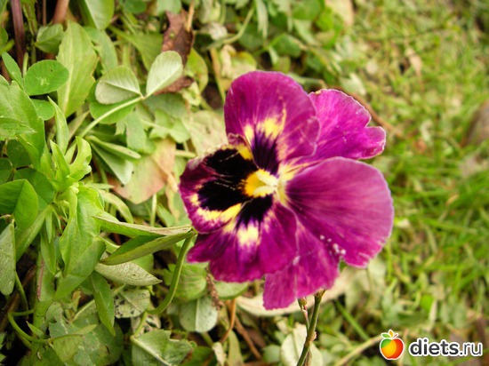 5 ����: �� ������� ����