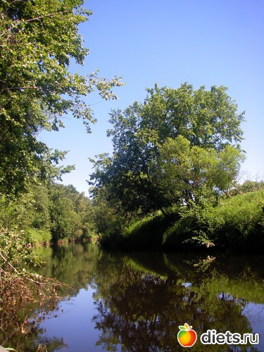 8 фото: оя любимая дача