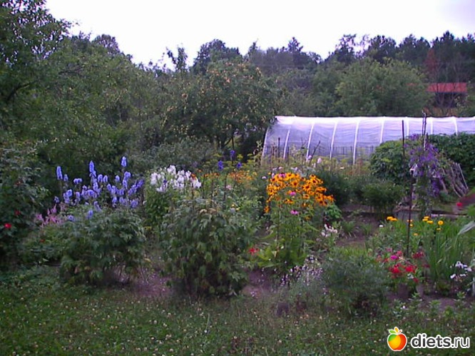 13 фото: оя любимая дача