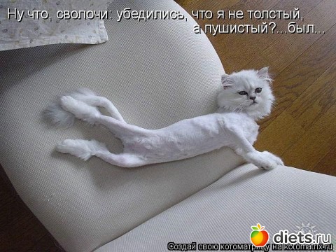 Настоящие худышки