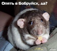 Фото-приколы