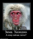 Холодно...