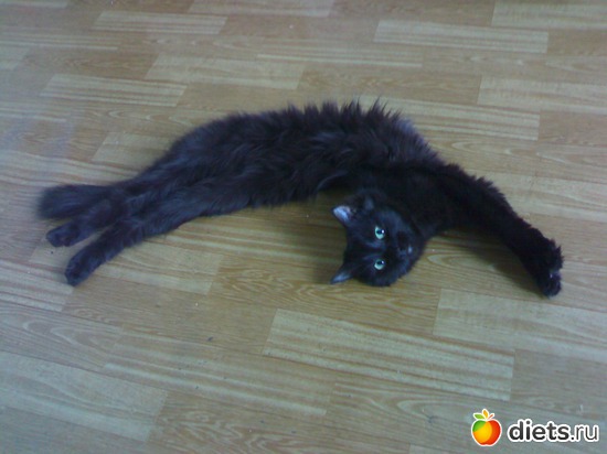 Флеха любит потянуться :), альбом: Флешка и Плюшка :)