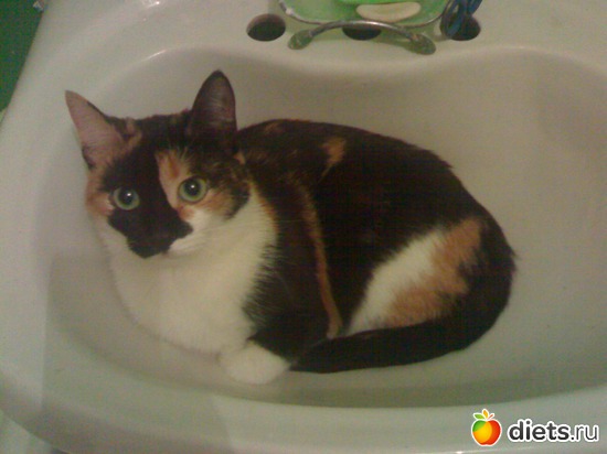 Плюшка в раковине, альбом: Флешка и Плюшка :)