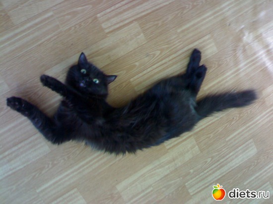 валяемся :), альбом: Флешка и Плюшка :)