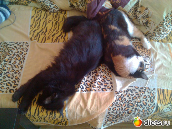 спят девоньки, альбом: Флешка и Плюшка :)