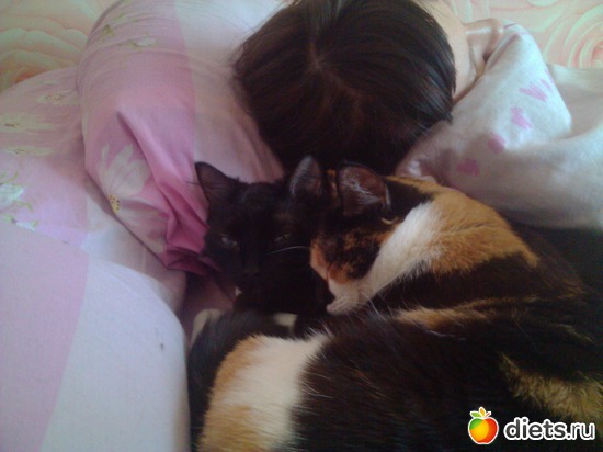 а это мы в троем спим ... всегда вместе :), альбом: Флешка и Плюшка :)