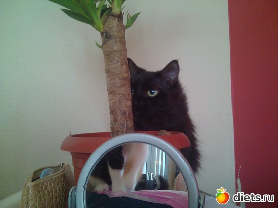 кто тут ))), альбом: Флешка и Плюшка :)