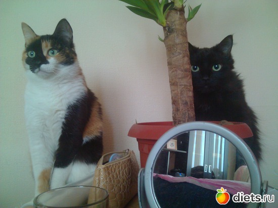 Мы тут :), альбом: Флешка и Плюшка :)