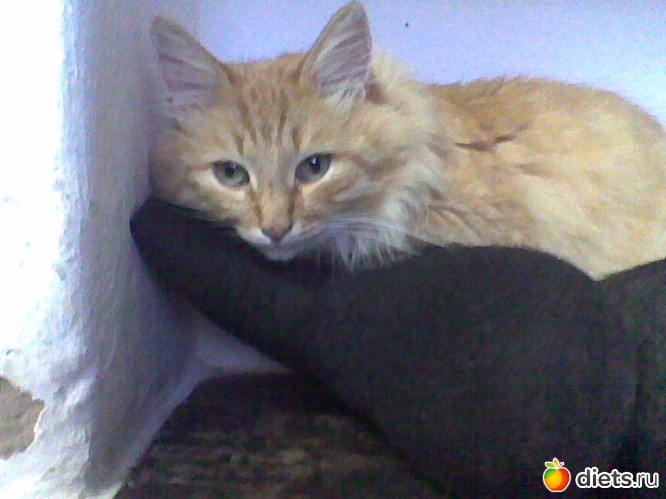 5 фото: Степочкин