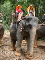 Сафари Као-Лак, Тайланд