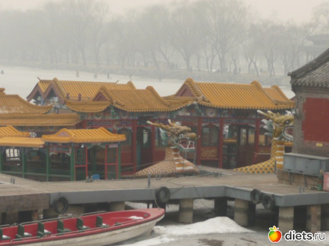 5 ����: �����