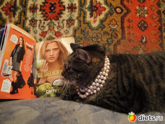 ������ �������, � ����� �����, ������: ��������� ���