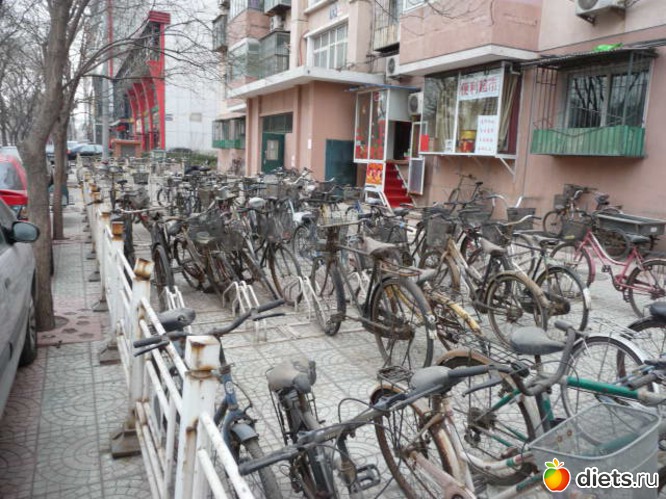 15 ����: �����