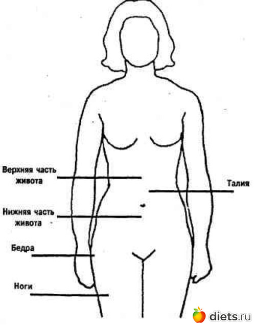 Верхняя часть человека. Женские части тела. Верхняя часть тела человека. Верхняя часть туловища человека. Где находится бедро.
