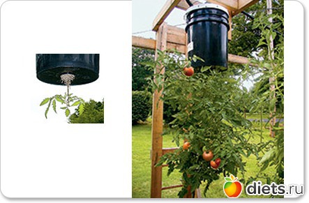 Вверх тормашками!!!