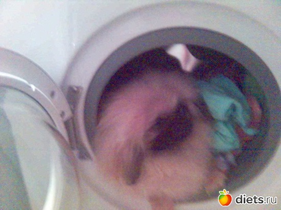 5 фото: Лизуша