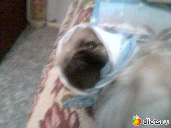 6 фото: Лизуша