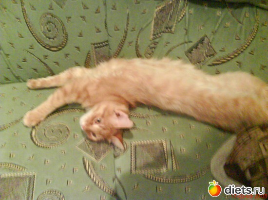 Это Рыжий,его уже нет в живых, альбом: Всего по немногу