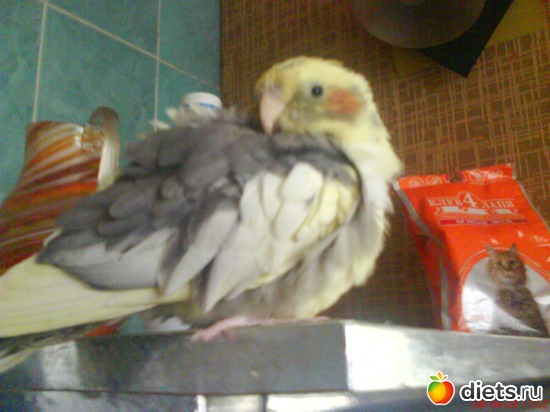 30 фото: Всего по немногу