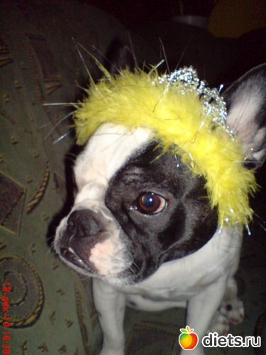 Это Фиша, альбом: Всего по немногу