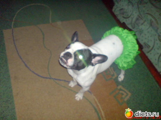 32 фото: Всего по немногу