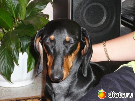 Не хочу патаграфироваться!