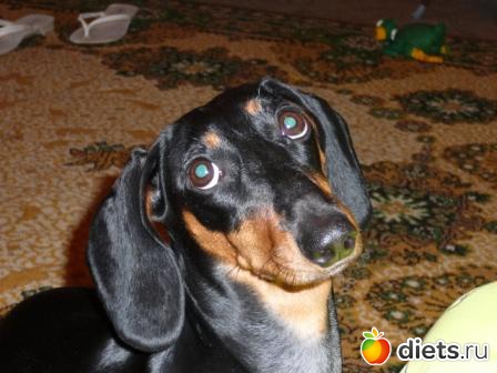 Правда,я красивая?