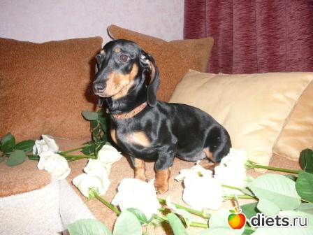 Наша любимица