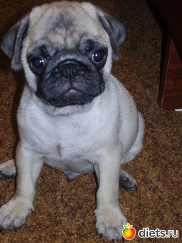 2 фото: Мой Мусик