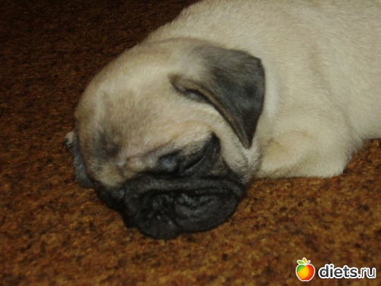 3 фото: Мой Мусик