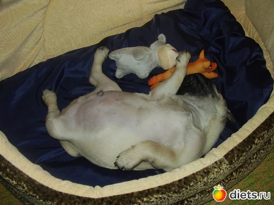 4 фото: Мой Мусик