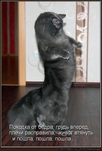 ������ �� ��