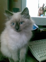 Мой будильник!!!