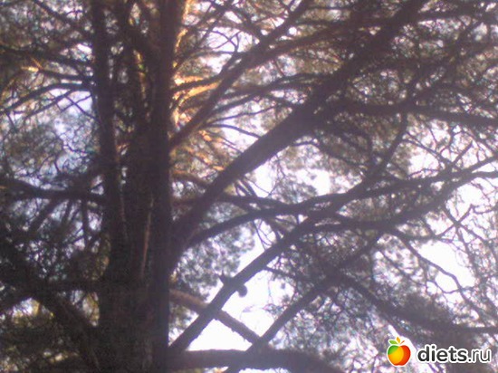 11 фото: Природа Байкала, мой любимый город Ангарск