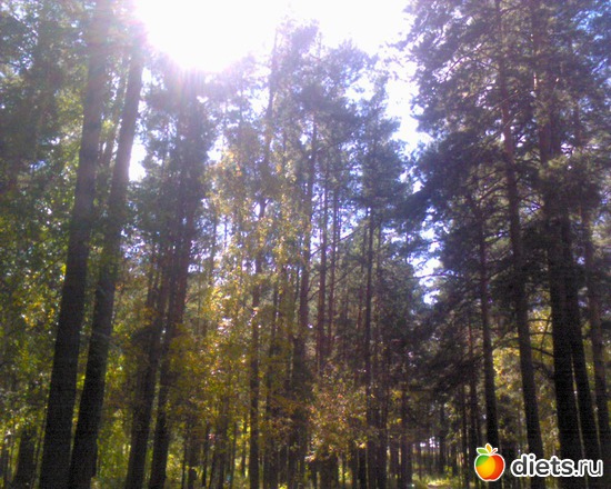 13 фото: Природа Байкала, мой любимый город Ангарск