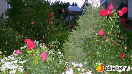 Всем привет.