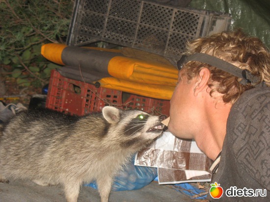 За сладости пойдут на всё, альбом: Моя чудесная семья!