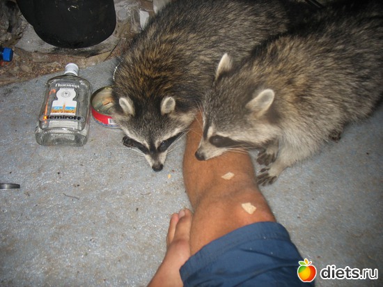 21 фото: Моя чудесная семья!