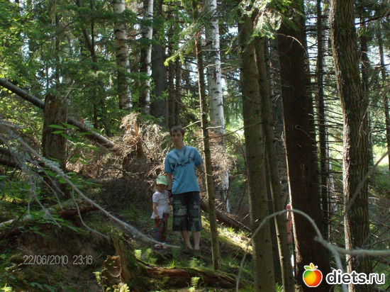 в лесу, альбом: мой