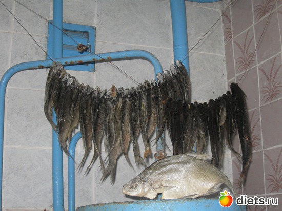 Результат увлечения мужа, альбом: Увлечения нашей семьи