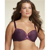 ������ ������� ���� �������